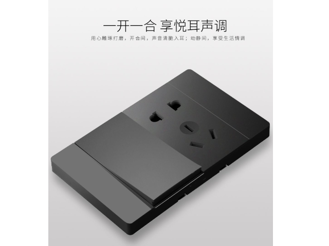 蘇州附近開關(guān)插座包括什么 誠信為本 蘇州億名鋮水電服務(wù)供應(yīng)