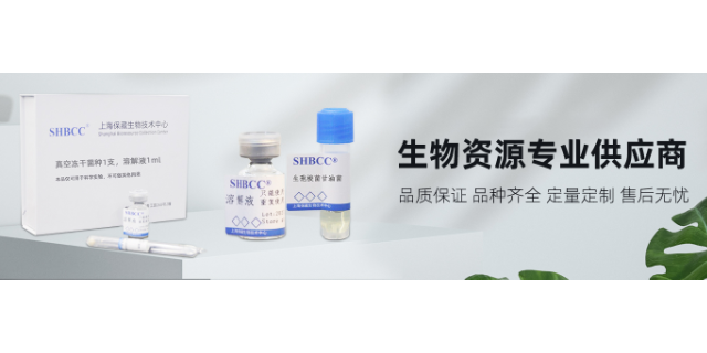 白色盐湖杆菌 服务为先 上海保藏微生物供应