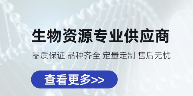 中华游动微菌 欢迎来电 上海保藏微生物供应