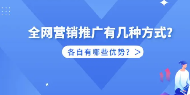 横山区全网推广策划,全网推广