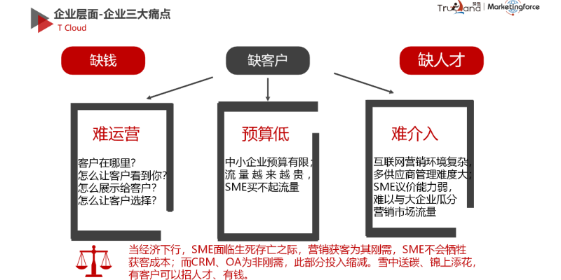 莆田SaaS智能营销平台臻文