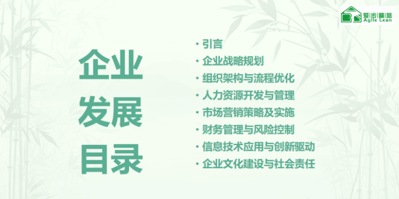 福建战略定位精英成长训练营内容 贴心服务 厦门爱步精益咨询供应