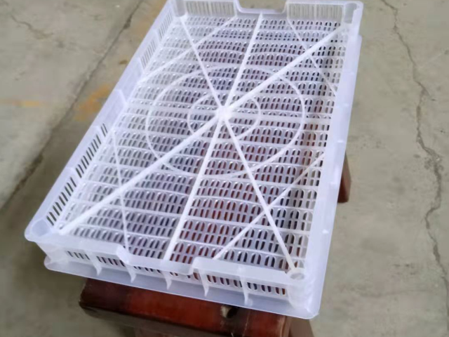 徐州枇杷运输塑料箱