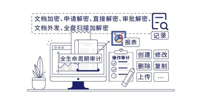 上海好的加密软件系统 欢迎咨询 上海迅软信息科技供应