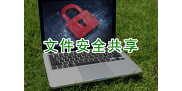 上海加密軟件系統(tǒng)哪家好 服務為先 上海迅軟信息科技供應