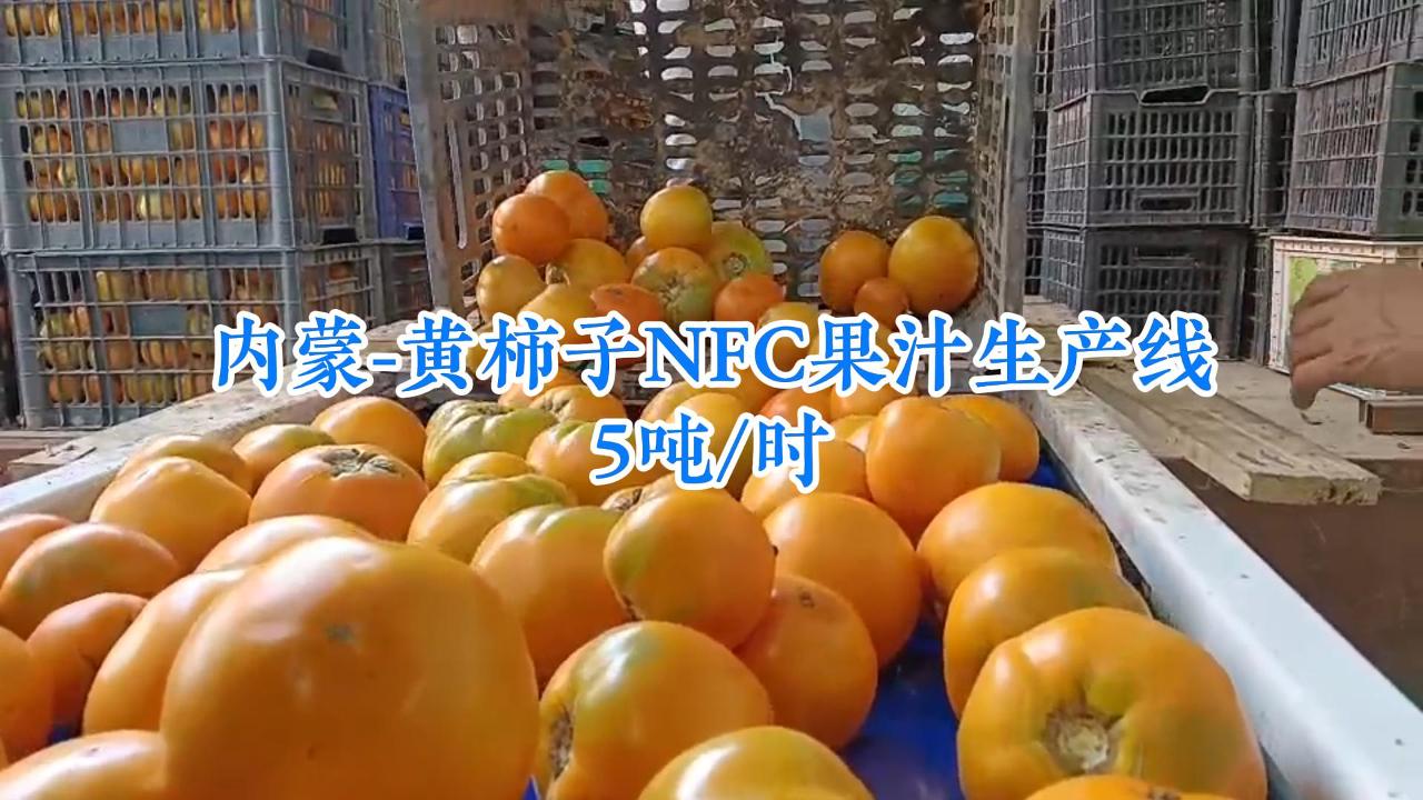 内蒙NFC黄柿子果汁生产线