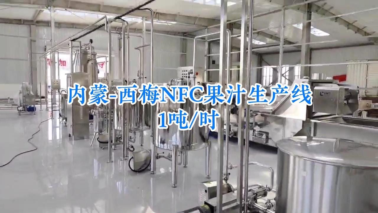 NFC西梅果汁生产线