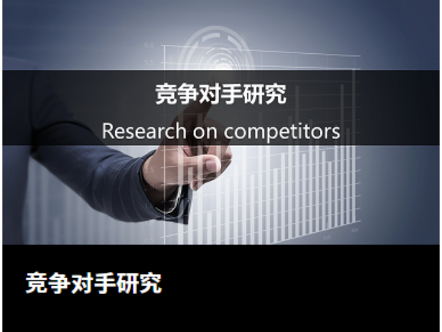 上海信息化满意度调查公司规范 客户至上 上海赛岩信息咨询供应