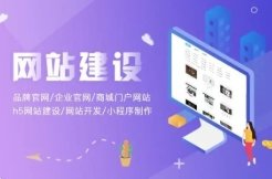 河南新型网站开发