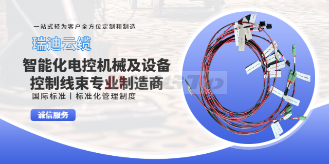 上海新能源工业设备线束 抱诚守真 上海瑞迪云缆供应