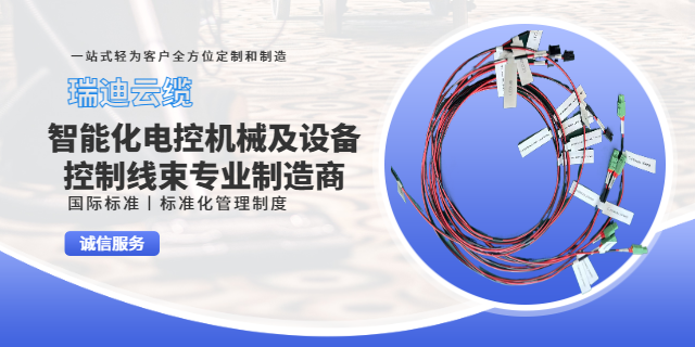 上海储能电气工业设备线束智能系统 推荐咨询 上海瑞迪云缆供应