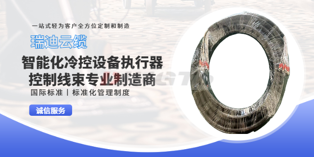 上海出口工业设备线束生产厂家 诚信互利 上海瑞迪云缆供应