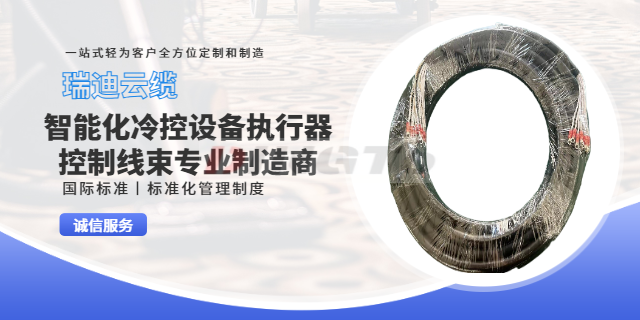 上海警报系统工业设备线束材料区别 诚信为本 上海瑞迪云缆供应