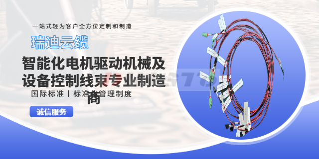 上海新能源工业设备线束按需定制 服务至上 上海瑞迪云缆供应