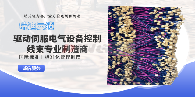 上海特殊工业设备线束联系方式 铸造辉煌 上海瑞迪云缆供应