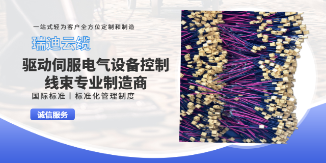 上海清洗设备工业设备线束定做 诚信服务 上海瑞迪云缆供应
