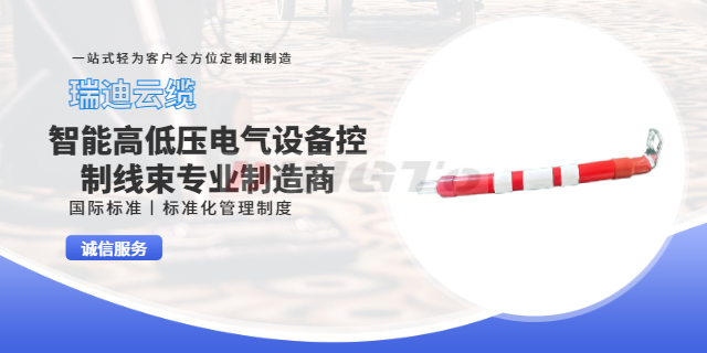 上海出口工业设备线束哪家好 创造辉煌 上海瑞迪云缆供应