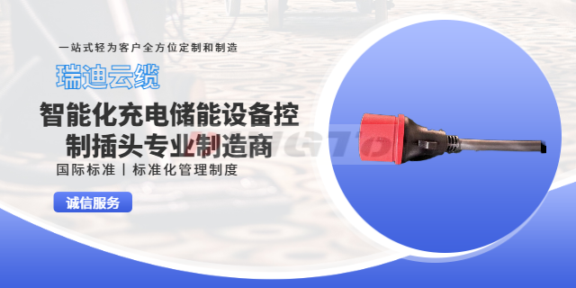 上海集装箱冷藏工业设备线束设计 真诚推荐 上海瑞迪云缆供应