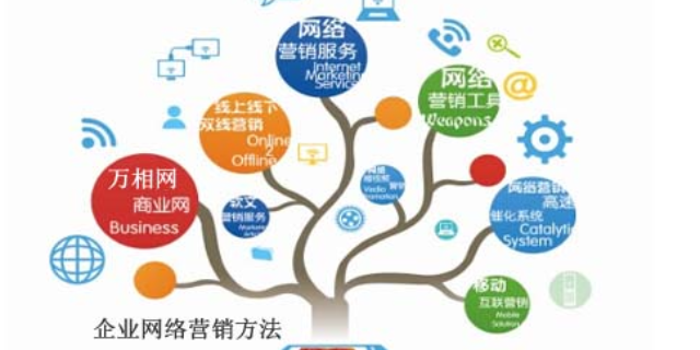 龙游企业互联网营销介绍 客户至上 衢州能弘网络科技供应