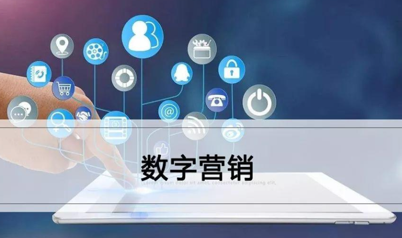 衢州衢州企业数字化转型概况 创新服务 衢州能弘网络科技供应