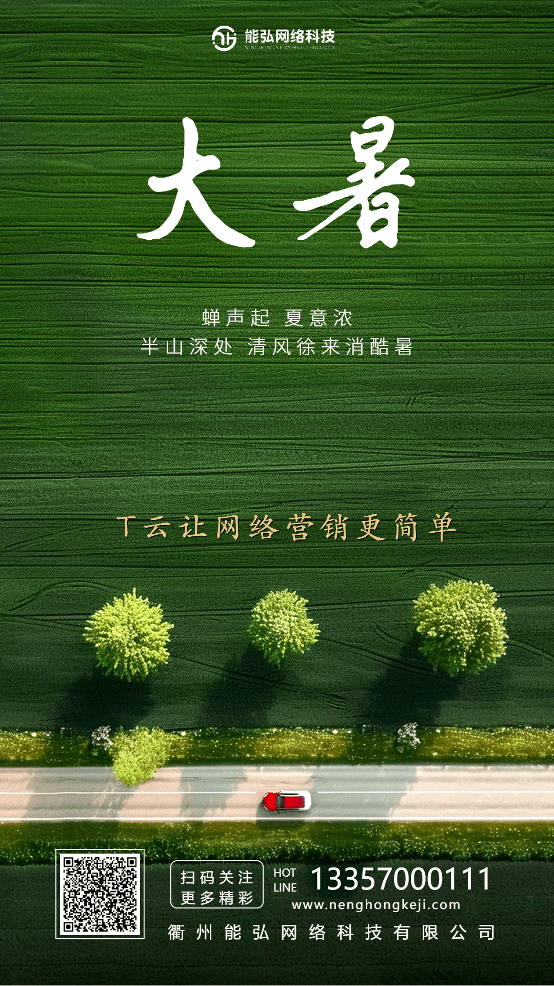 蝉声起，夏意浓！