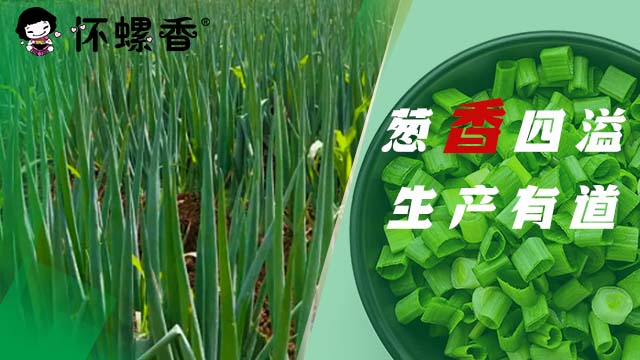 螺蛳粉制作工艺客服电话 广西优悦食品供应