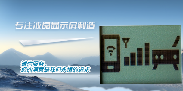 广东手机液晶显示模组厂家排名