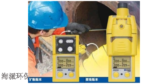 贵州沼气分析仪供应厂家 推荐咨询 成都海派环保科技供应