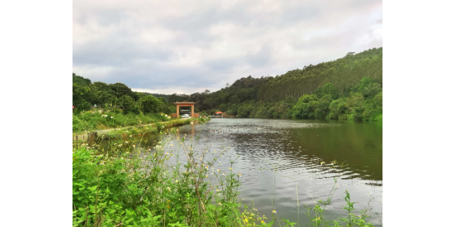 野炊露营旅游,露营