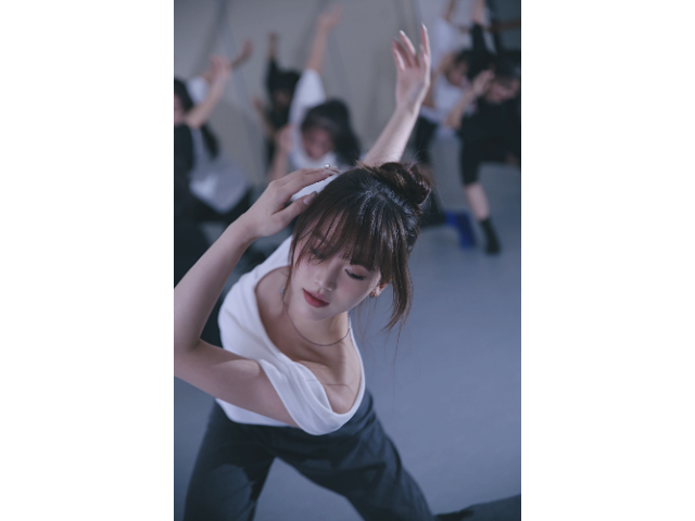 中国民族舞学习哪家专业,中国舞集训