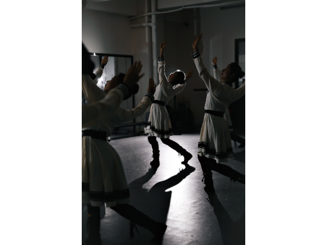 广州中国古典舞培训中心哪家环境好 广州史莱克培训教育供应