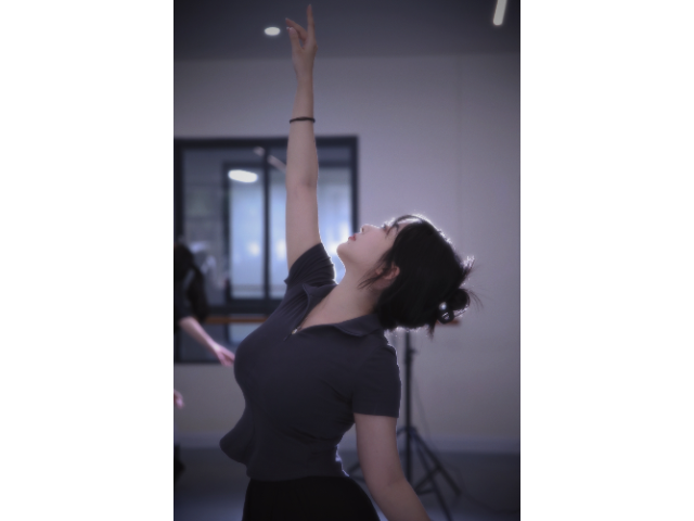 廣州中國(guó)現(xiàn)代舞輔導(dǎo)機(jī)構(gòu)哪家效果好 廣州史萊克培訓(xùn)教育供應(yīng)