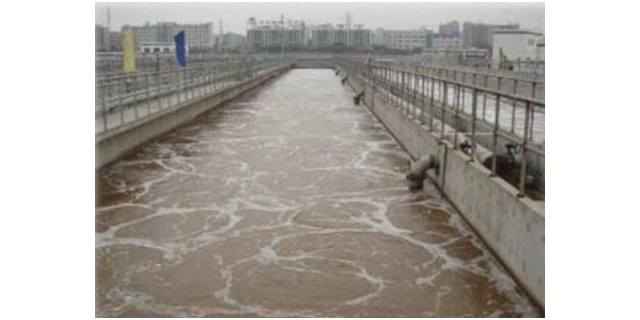 河南工业废水硝化菌达标