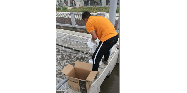 上海活性cod降解菌生产商 诚信为本 上海利蒙生态环境科技供应