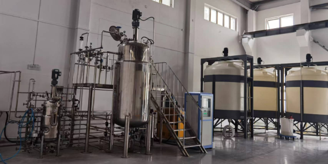 上海反硝化菌销售厂 创新服务 上海利蒙生态环境科技供应