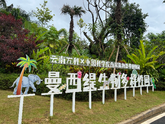 四川西双版纳榕林时光开发商怎么样 欢迎咨询 西双版纳尚好家房地产经纪供应;