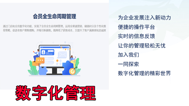 黑龙江财税行业数字化服务商,数字化