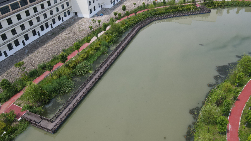 广西水上浮桥哪家好,水上浮桥