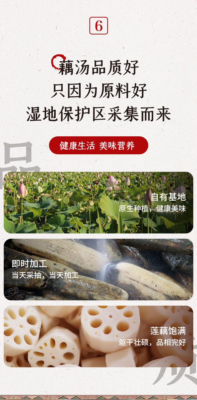 荊州胖頭魚洪湖藕湯如何分辨真假 歡迎咨詢 荊州味道品牌運營管理供應