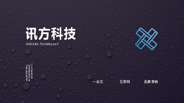 广西营销建站技术指导 客户至上 广西讯方供应
