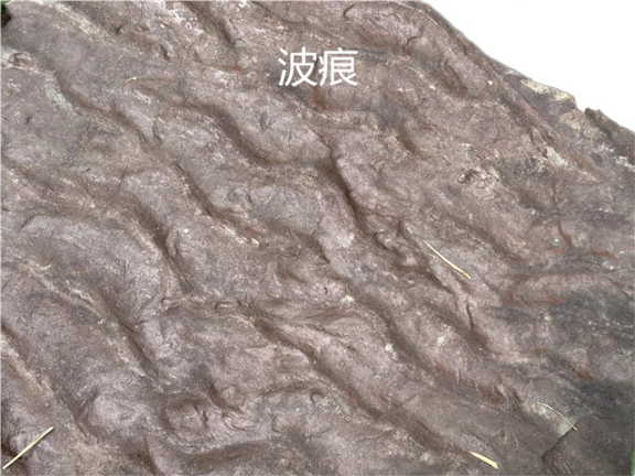 杭州泥质岩石标本市价