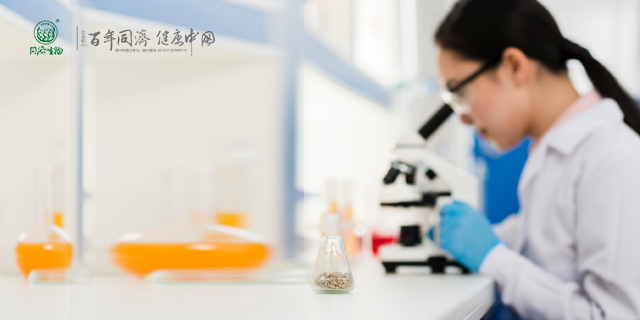 首脑银杏白果可以长期服用吗 上海同济生物制品供应;