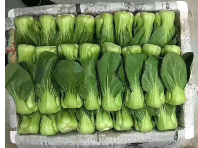 深圳西乡工厂蔬菜配送价格多少 广东华洲农产品配送服务供应