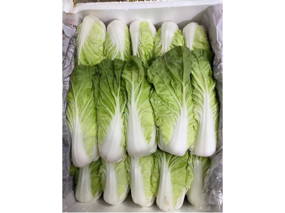 深圳西乡工厂蔬菜批发价格多少 广东华洲农产品配送服务供应