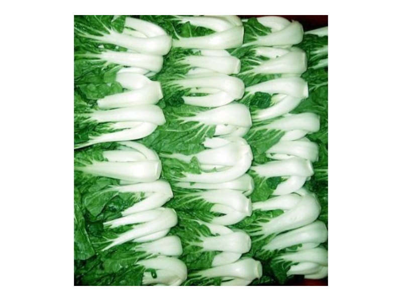 東莞市肉類蔬菜批發(fā)配送公司 廣東華洲農(nóng)產(chǎn)品配送服務供應