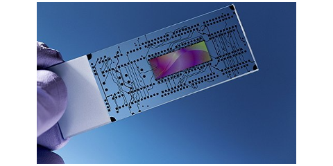 常州智能化微流控芯片参考价,微流控芯片
