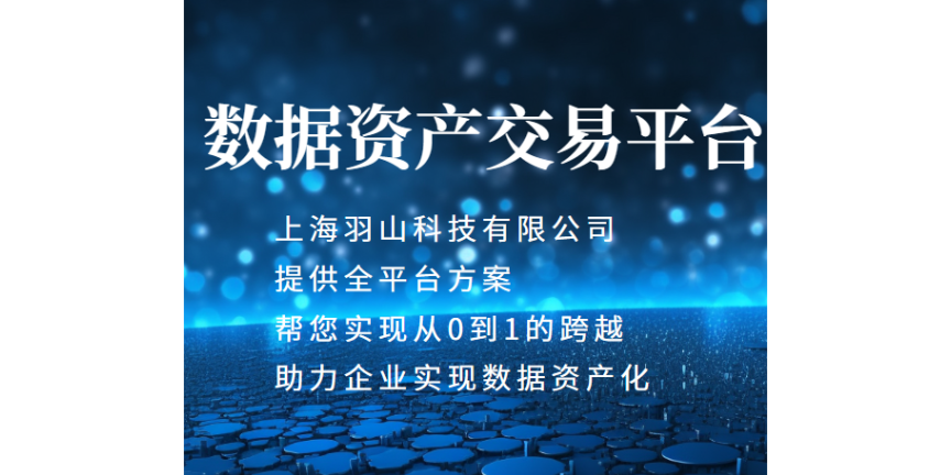 數據資產確權增值計量服務 歡迎咨詢 上海羽山科技供應