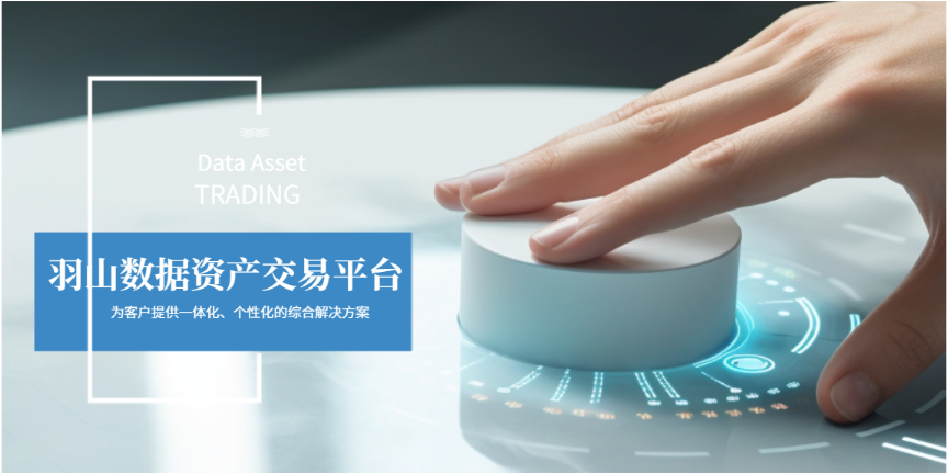 數據資產交易變現產品 歡迎咨詢 上海羽山科技供應;