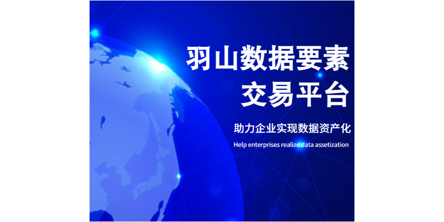 公司数据资产完整方案 欢迎咨询 上海羽山科技供应