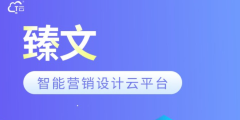 上海平台搭建T云国内版 山西云荫科技供应